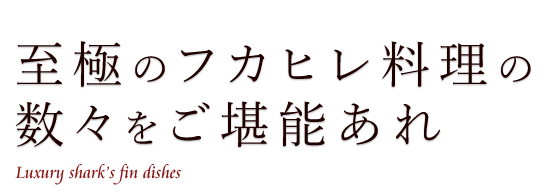 至極のフカヒレ料理の数々をご堪能あれ