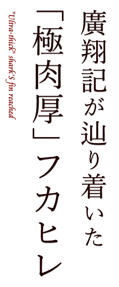 廣翔記が辿り着いた